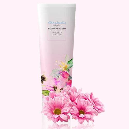 Decoration wooden present